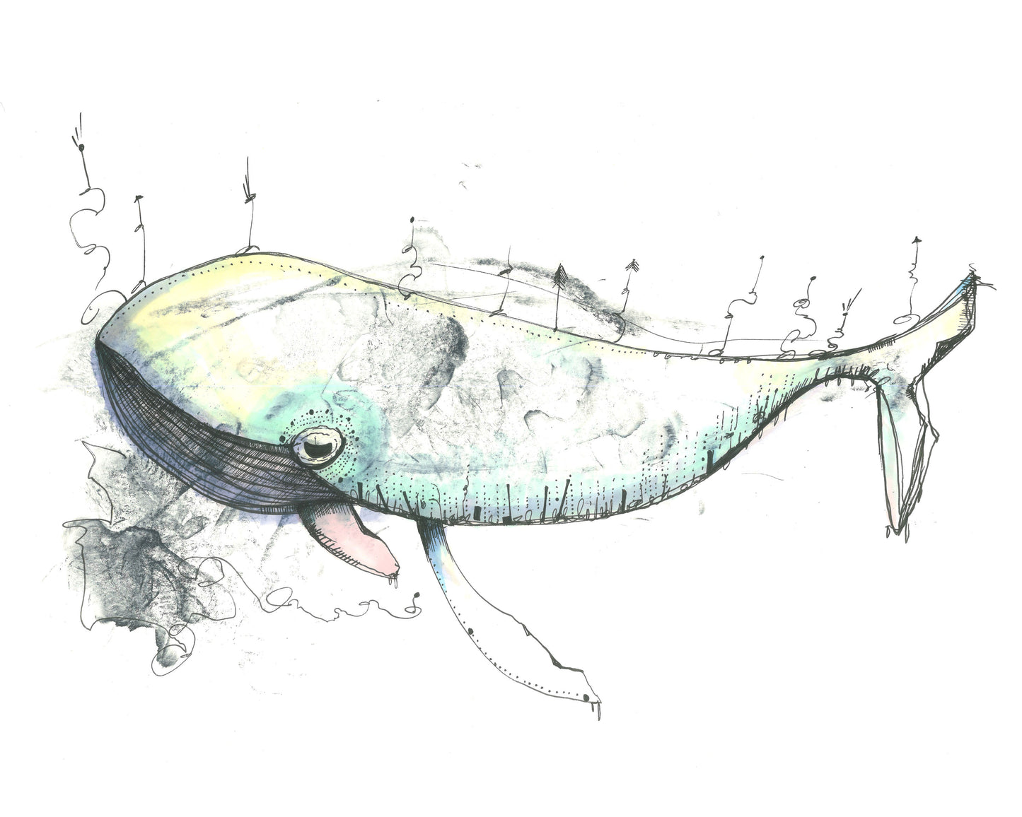 WHALE