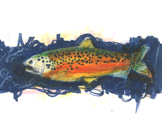 POLKA DOT FISH